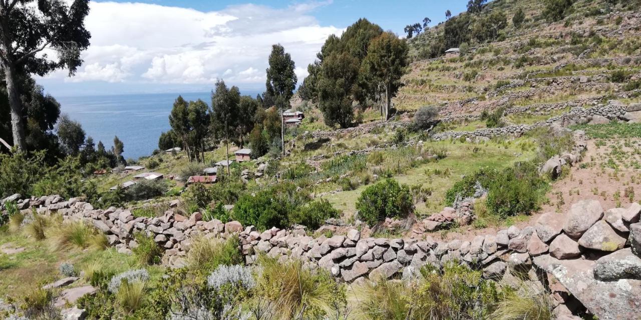 Taquile Hospedaje Mario Уильянопампа Экстерьер фото