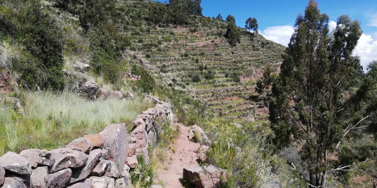 Taquile Hospedaje Mario Уильянопампа Экстерьер фото