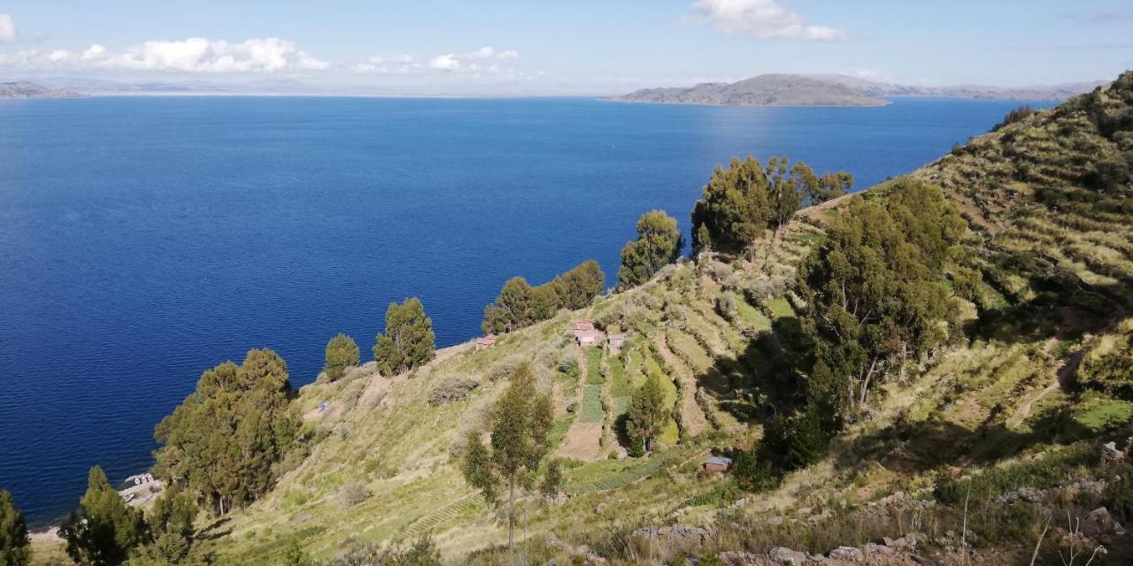 Taquile Hospedaje Mario Уильянопампа Экстерьер фото
