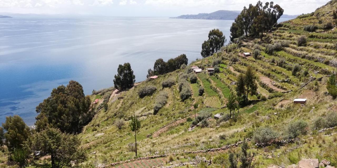 Taquile Hospedaje Mario Уильянопампа Экстерьер фото