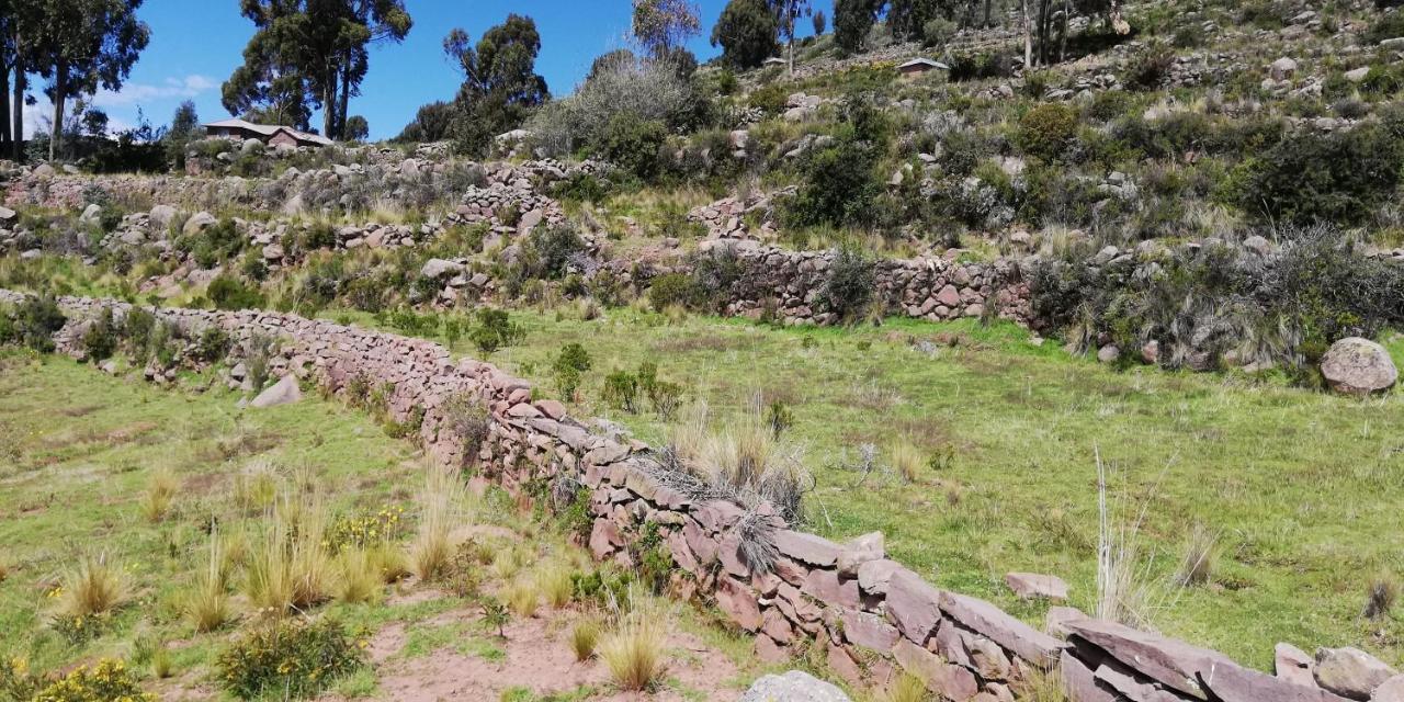 Taquile Hospedaje Mario Уильянопампа Экстерьер фото
