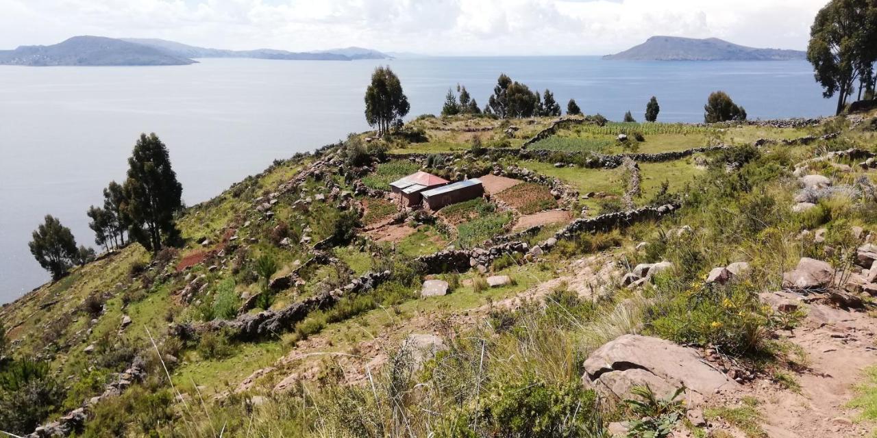 Taquile Hospedaje Mario Уильянопампа Экстерьер фото