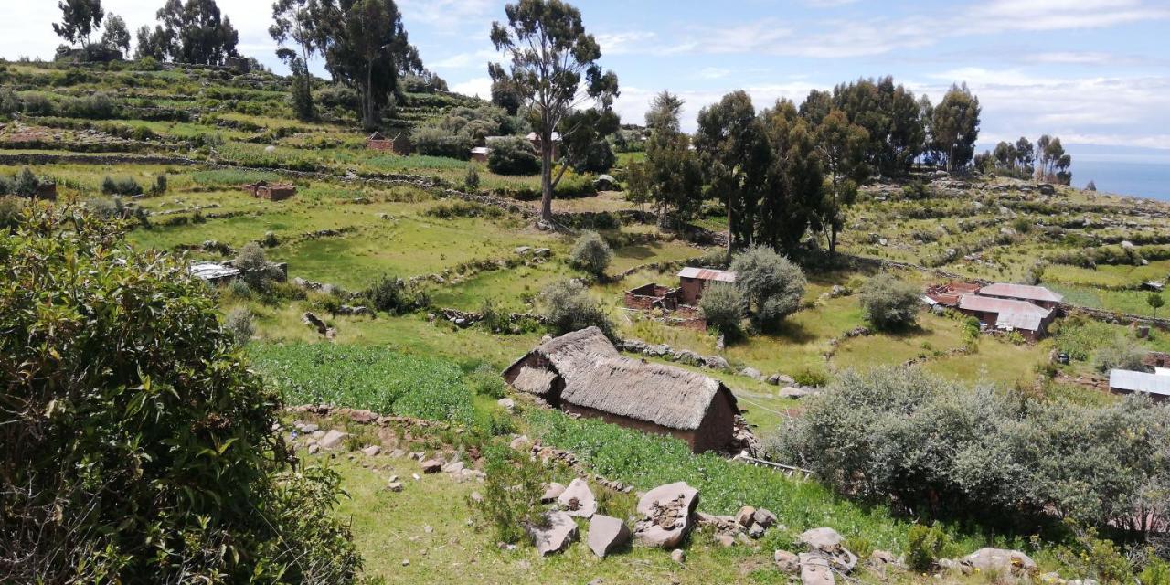Taquile Hospedaje Mario Уильянопампа Экстерьер фото