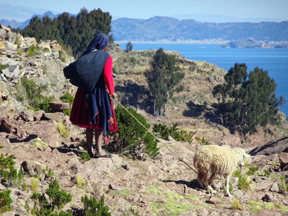 Taquile Hospedaje Mario Уильянопампа Экстерьер фото